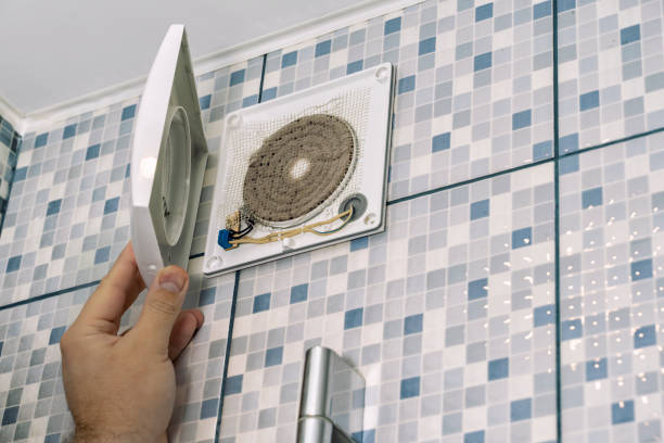Best Affordable Duct Cleaning Services  in Lely, FL