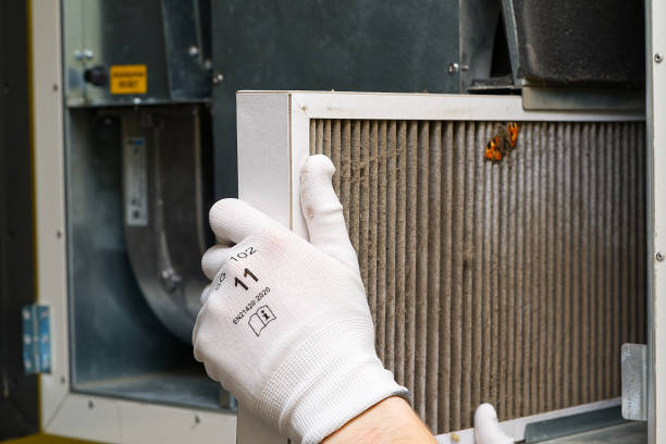 Air Duct Mold Removal in Lely, FL