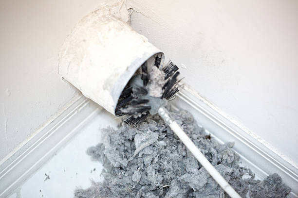Best Air Duct Cleaning Near Me  in Lely, FL