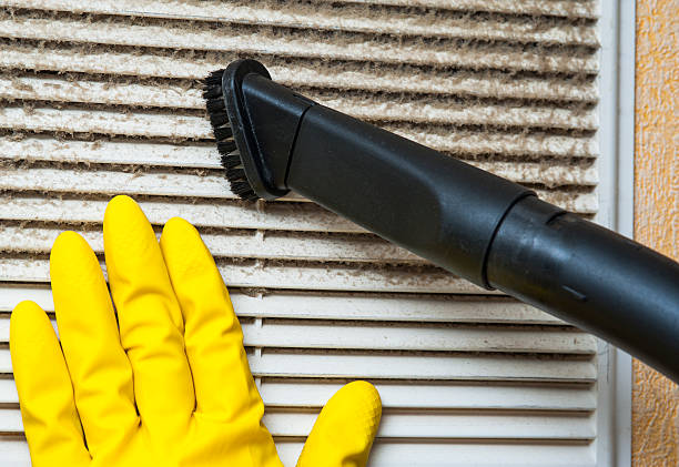 Best Duct Cleaning for Homes  in Lely, FL