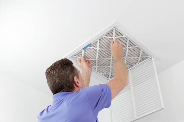 Best HVAC System Cleaning  in Lely, FL